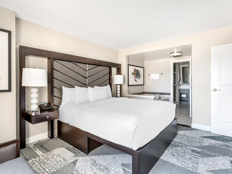 1 King Bed Suite With Sofabed