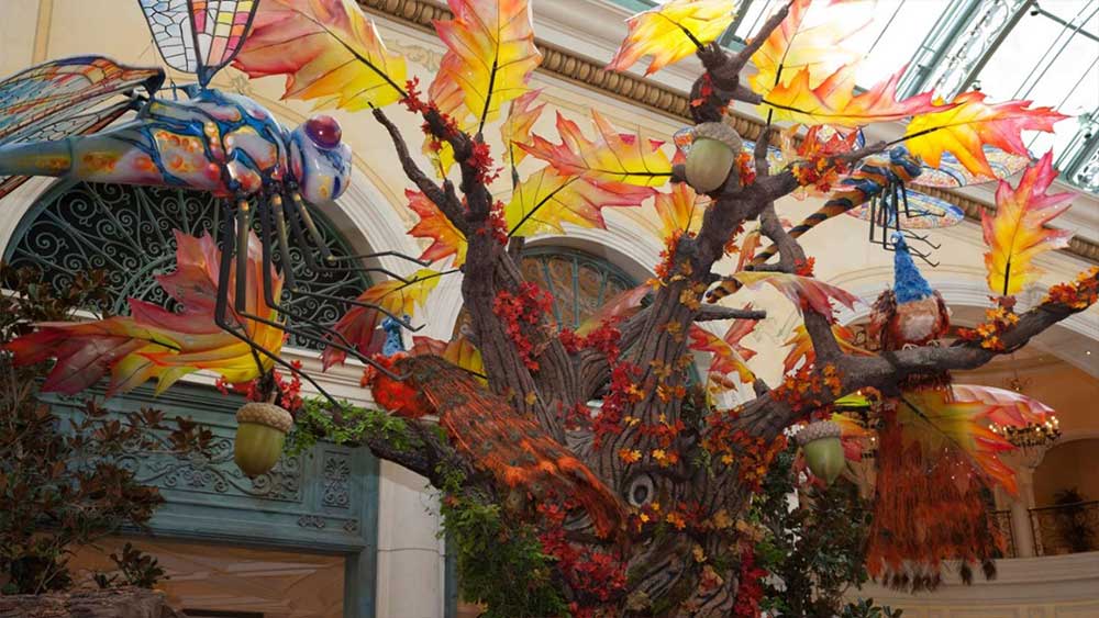 Bellagio Conservatory and Botanical Gardens - Bellagio Conservatory 