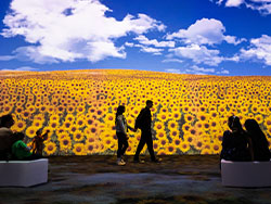 The New Immersive Van Gogh: The Next Chapter 