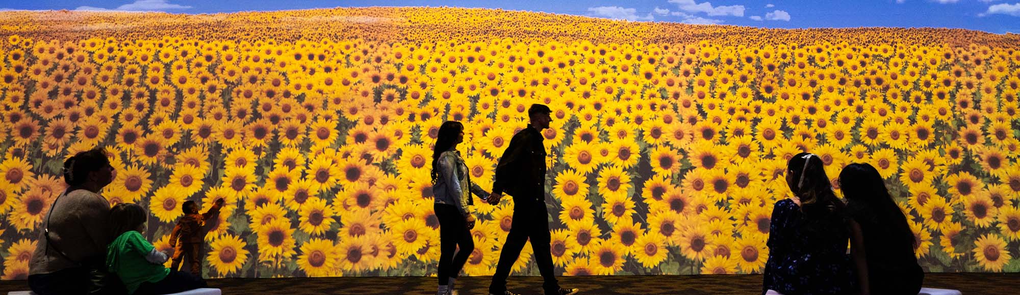 The New Immersive Van Gogh: The Next Chapter attraction