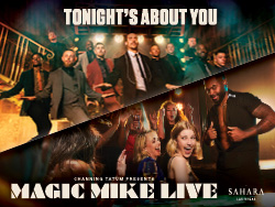 Magic Mike Live