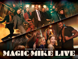 Magic Mike Live