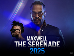 Maxwell Las Vegas concert