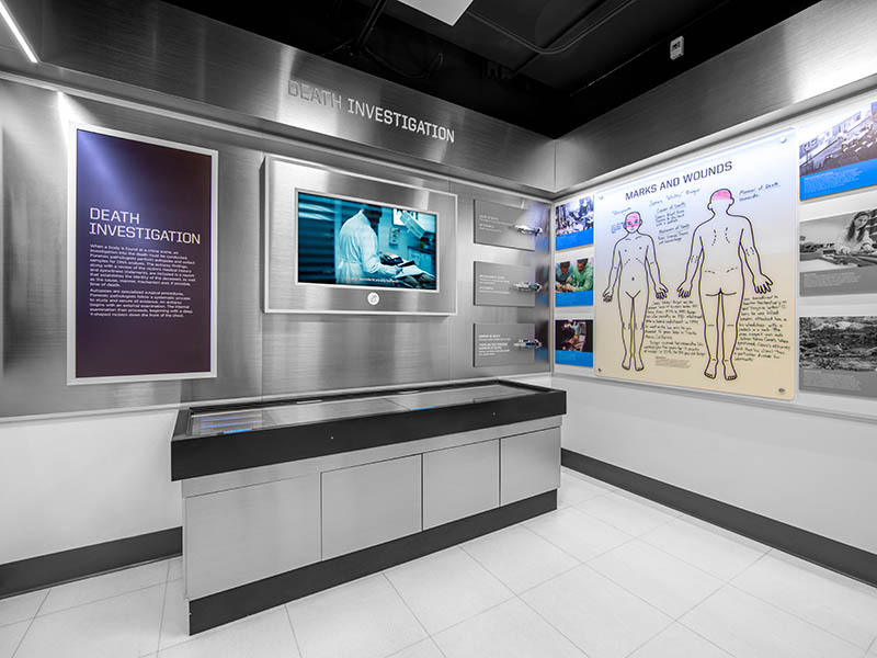 The Mob Museum - Mob Museum