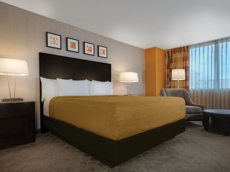 West Tower King Dog Friendly Room