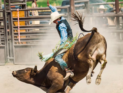National Finals Rodeo (NFR)