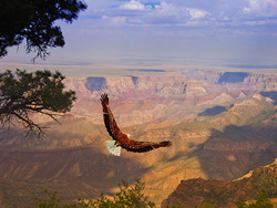  Grand Canyon West Rim Bus Tour PR