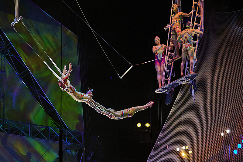Mystère by Cirque du Soleil - Trapeze