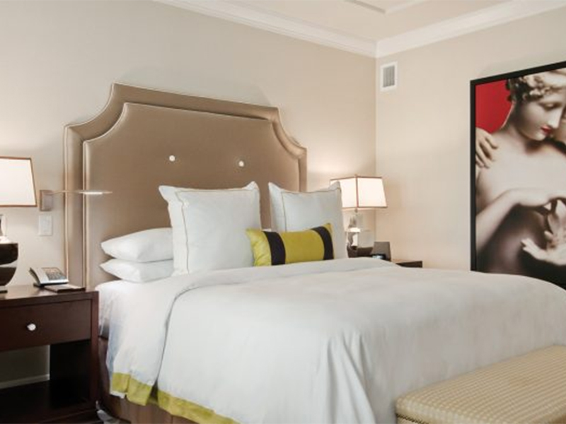 Octavius Executive Fountain View Suite King