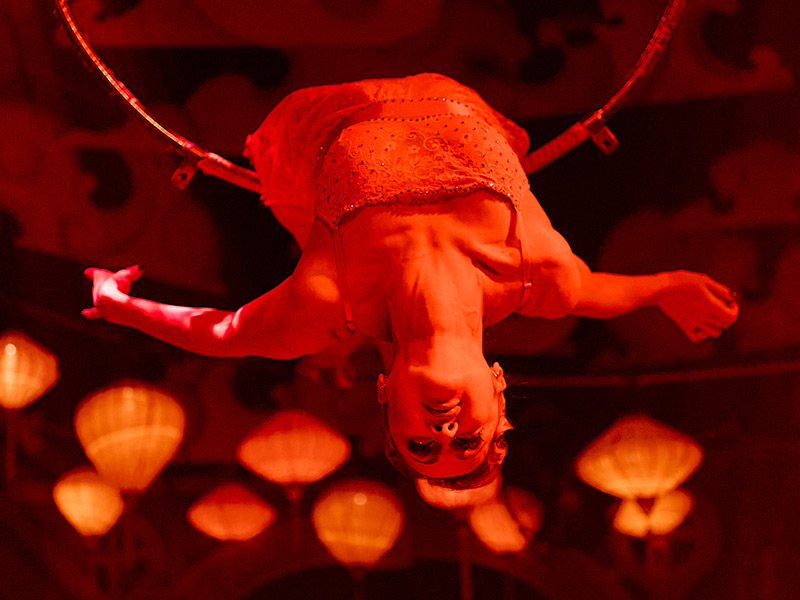 Oddyssey Manor - Discover rotating circus acts unfolding throughout the Manor - Oddyssey Manor