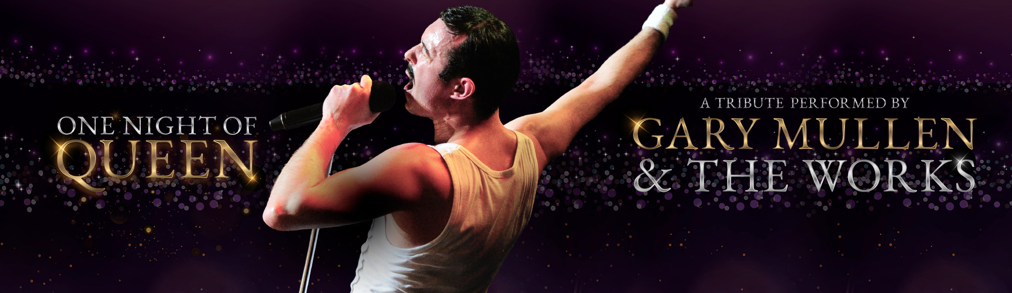 One Night of Queen Show