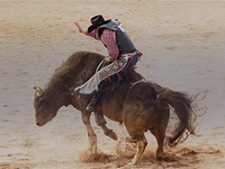 2025 PBR Camping World Teams Championship