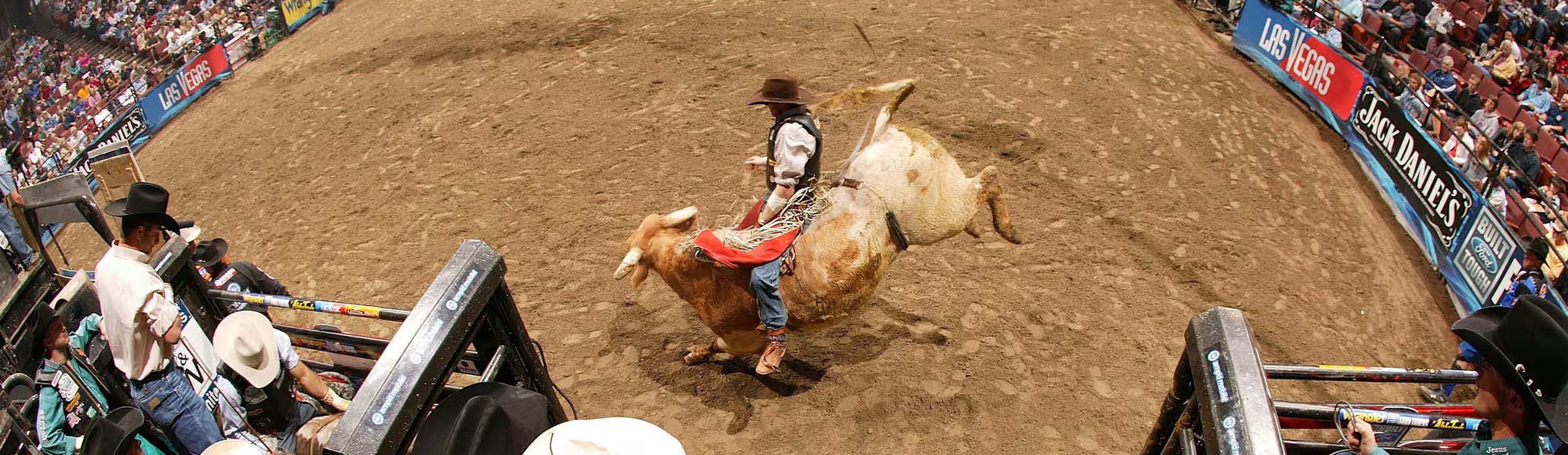 PBR Team Series Championship Show