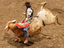 PBR Team Series Championship