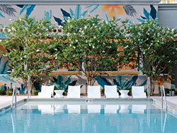 Park MGM