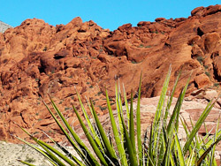 Red Rock Canyon Tour PRIMARY