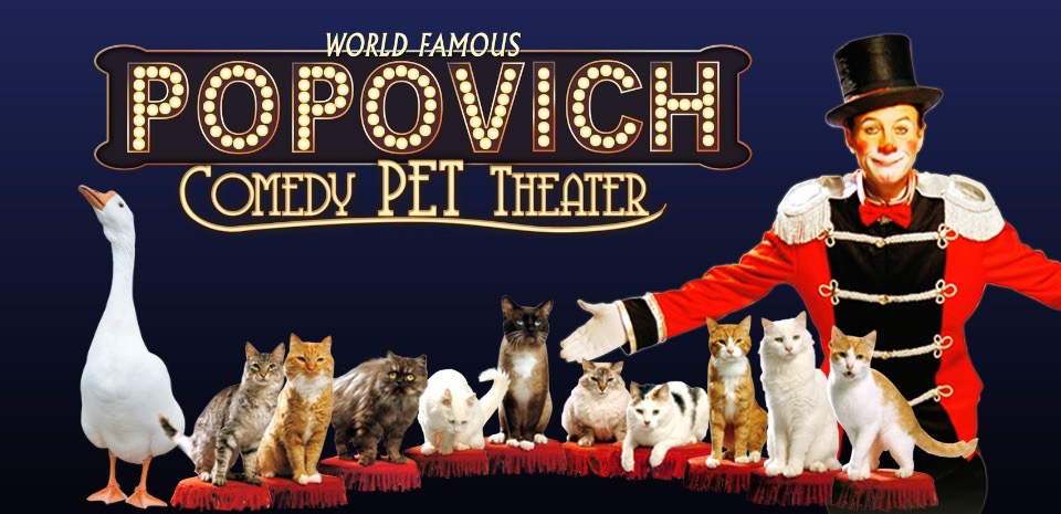 Gregory Popovich's Comedy Pet Theater show