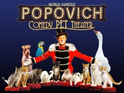 Gregory Popovich's Comedy Pet Theater Live in Las Vegas