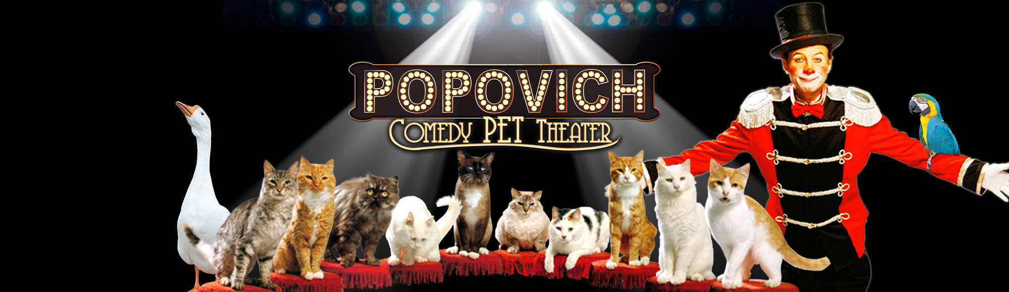 Popovich Comedy Pet Theater show