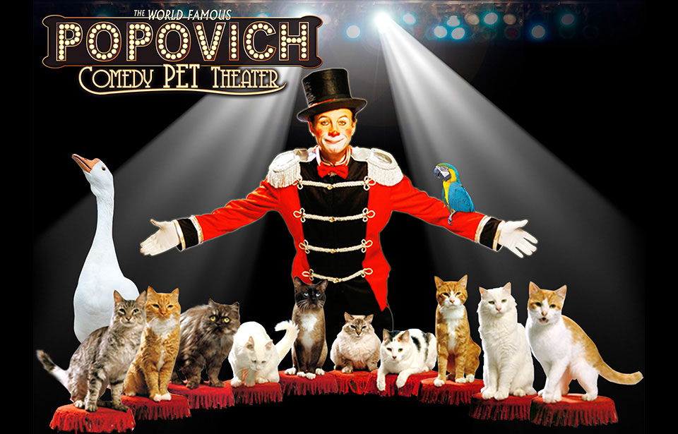 Dogs and cats performing at Popovich Comedy Pet Theater at Planet Hollywood