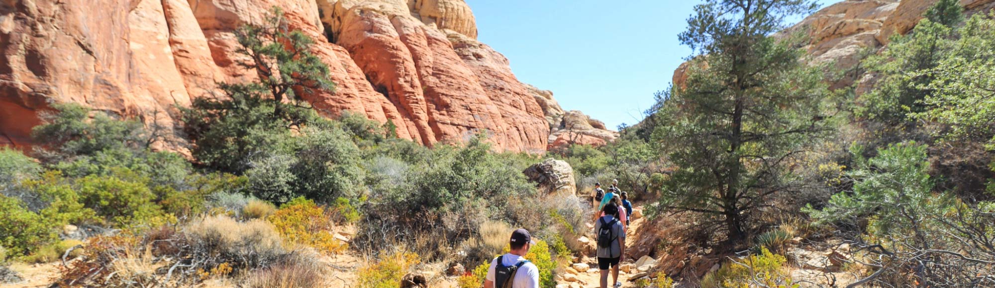 Red Rock Canyon Hiking Tour by Love Hikes Tour