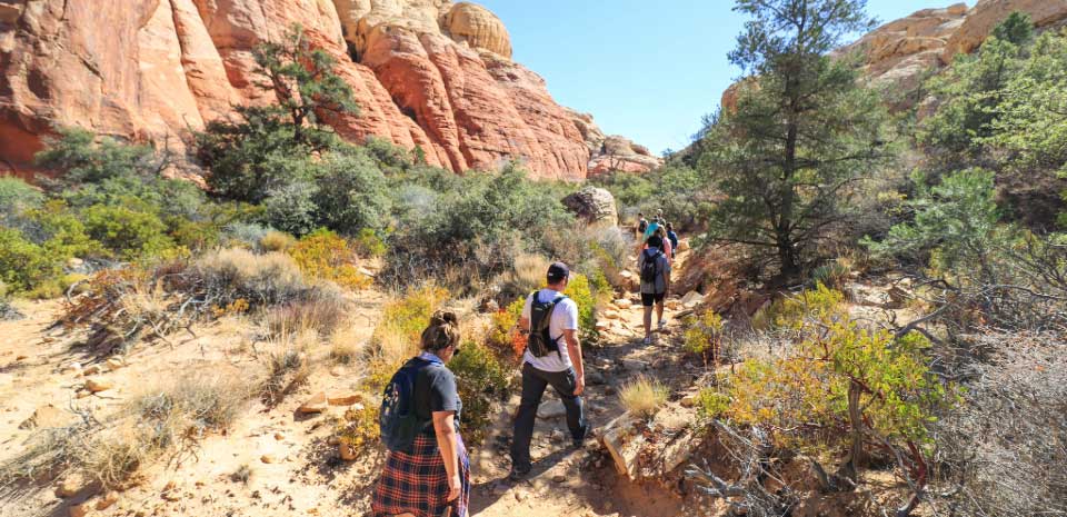 Guided hiking tour in Red Rock Canyon near Las Vegas
