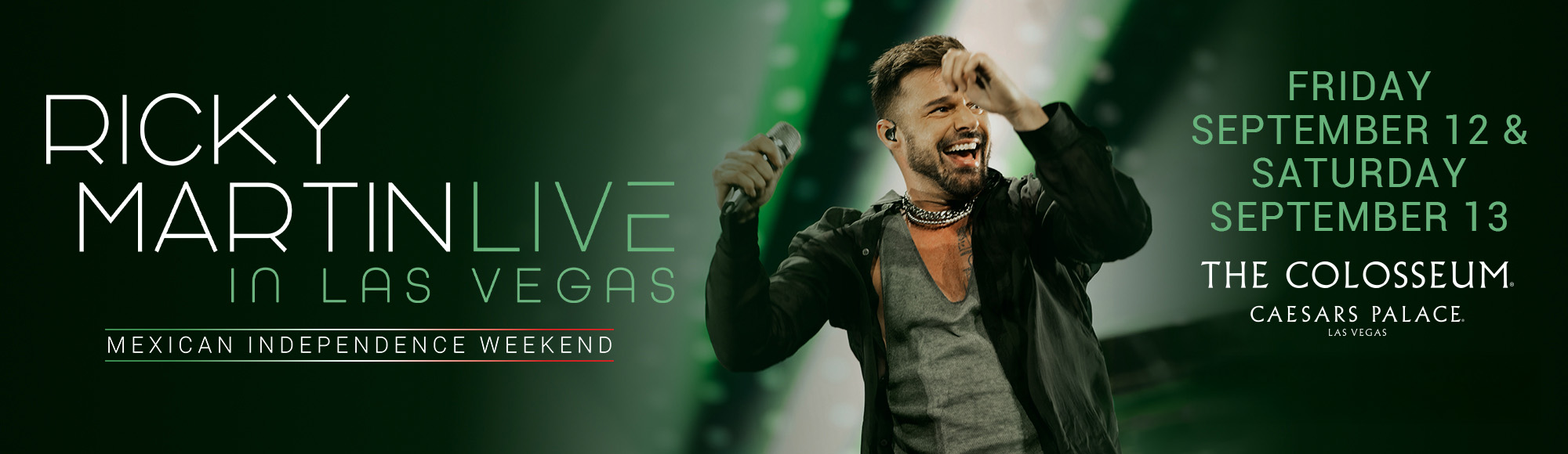 Ricky Martin: Live in Las Vegas show