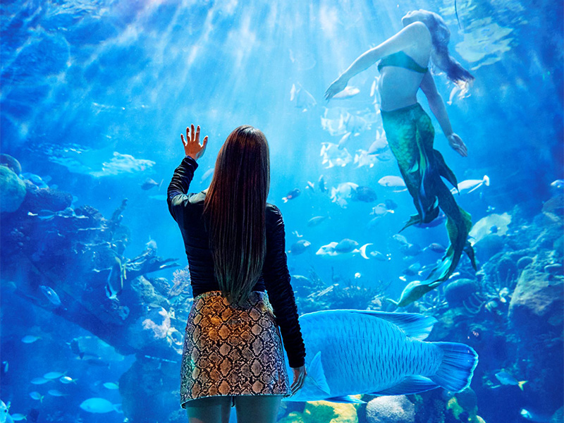 Silverton Aquarium