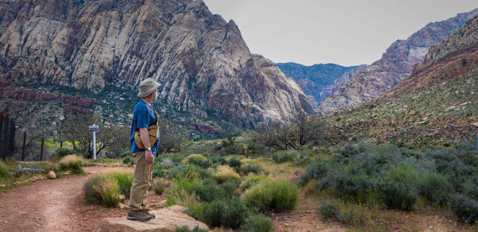 Green meadow and historic ranch buildings backed by red rock cliffs at Spring Mountain Ranch