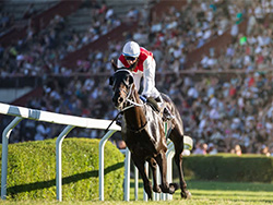 The Run for a Million Championship