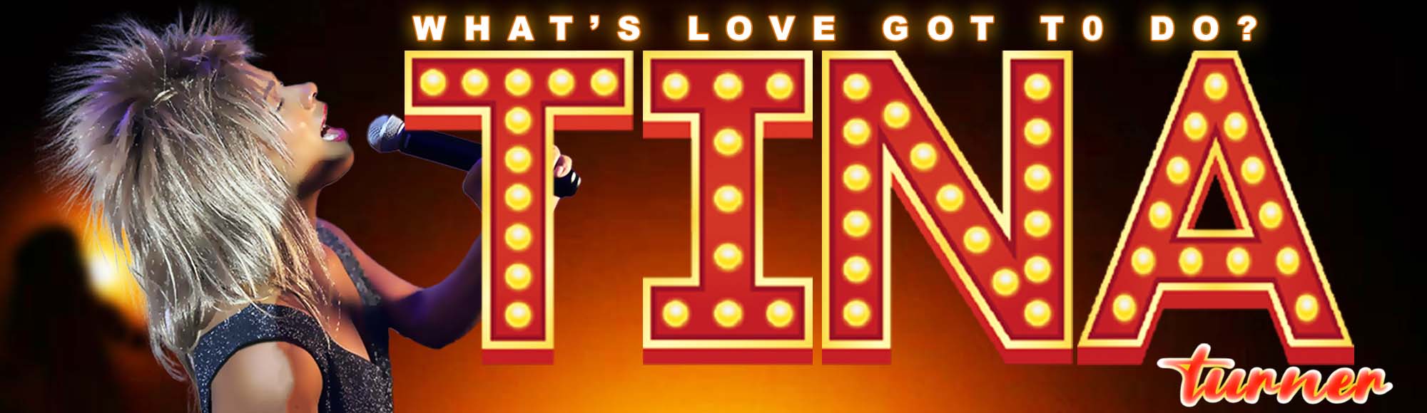 Tina Turner Tribute Show - What's Love Got To Do show