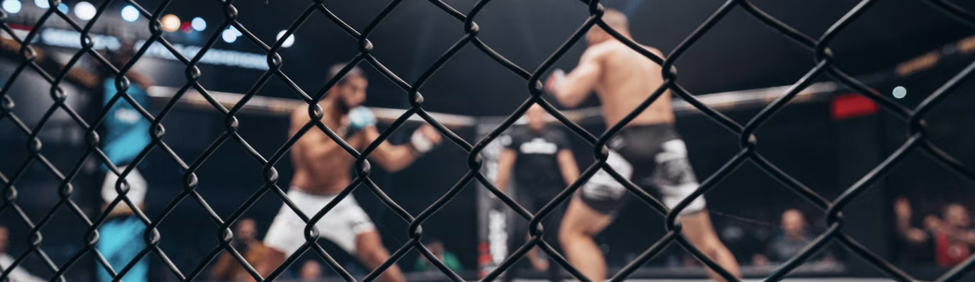 UFC 335 – Oliveira vs Lopes