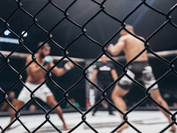 UFC 335 – Oliveira vs Lopes