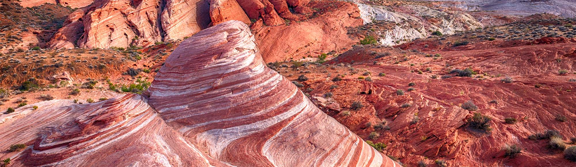 Valley of Fire Small Group Tour tour