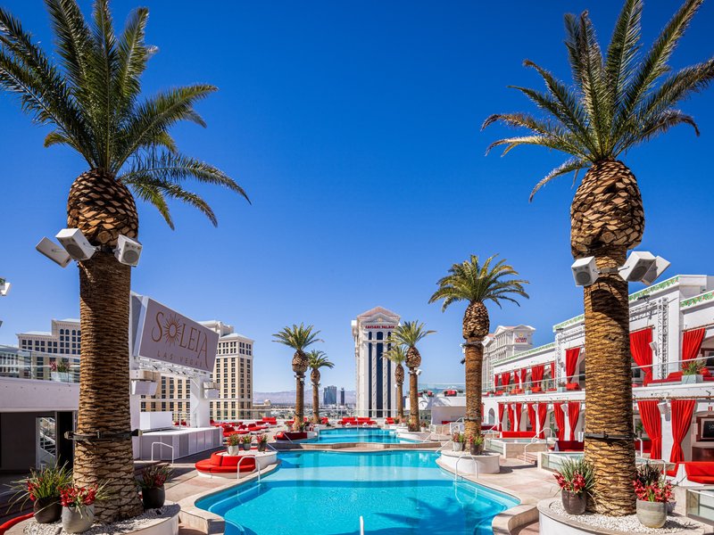 Relax beside Soleia's resort-style pool, surrounded by palm trees, daybeds, and vibrant lounge seating.