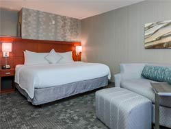 Guest Room 1 King, Sofa Bed