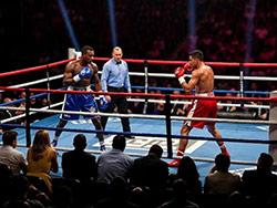 WBC - World Boxing Council (Ryan Garcia vs Conor Benn)