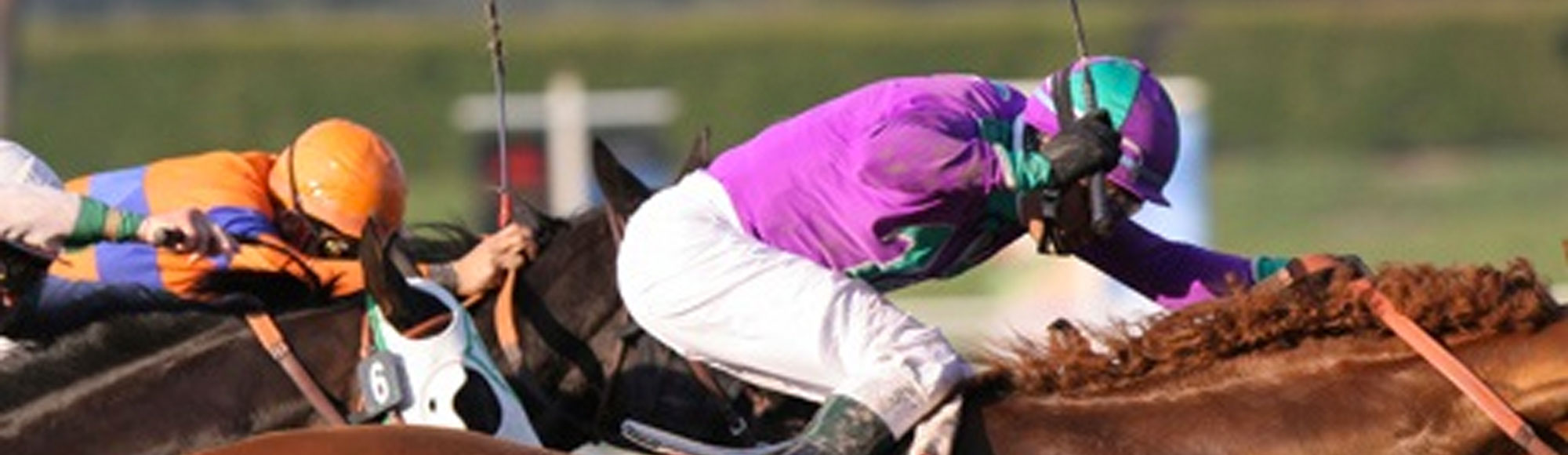 Green Valley Ranch Race and Sports Book