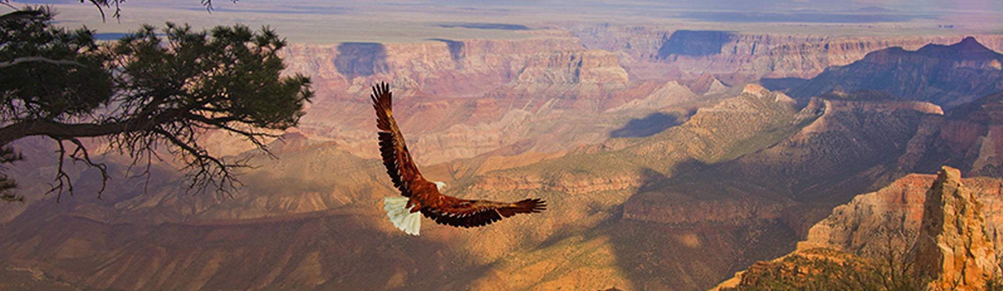 Grand Canyon West Rim and Hoover Dam Photo Stop Bus Tour tour