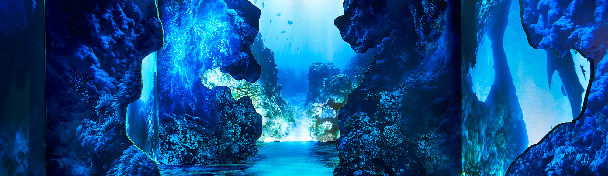 Arcadia Earth Las Vegas Tickets & Reviews