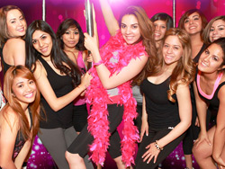 Stripper 101