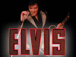 Elvis: One Night 