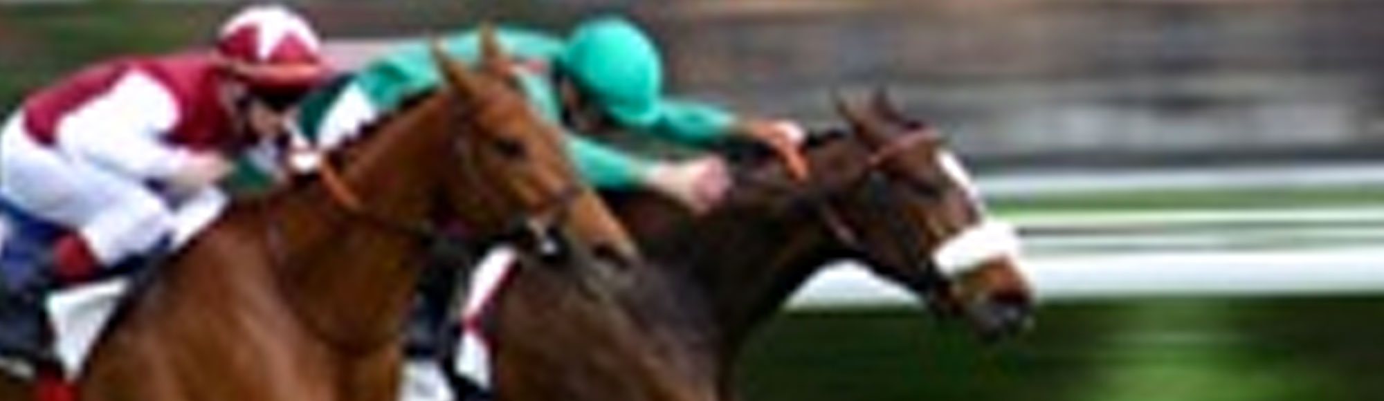 Sunset Station Race and Sports Book Showtimes