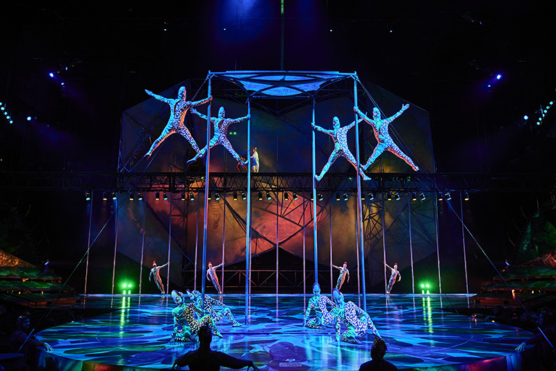 Mystère by Cirque du Soleil