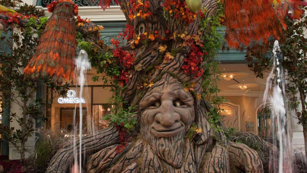 Bellagio Conservatory and Botanical Gardens - Bellagio Conservatory 