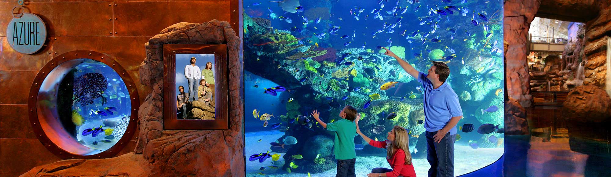 The Aquarium At The Silverton Hotel