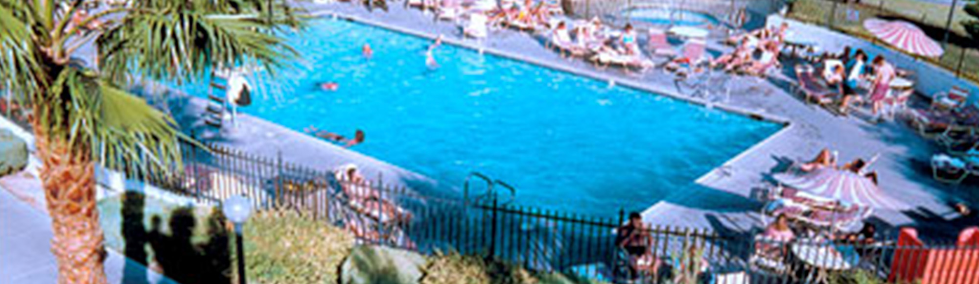 Las Vegas Hotels Shows Tours Clubs More