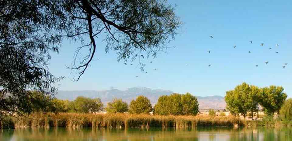 Floyd Lamb State Park attraction