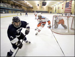 Fiesta Ice Arena