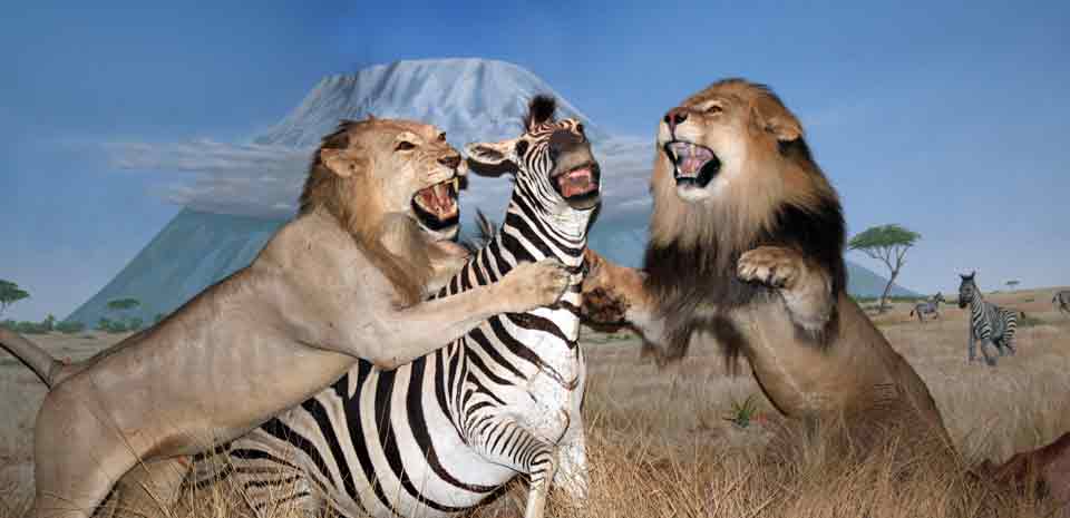 Las Vegas Natural History Museum attraction